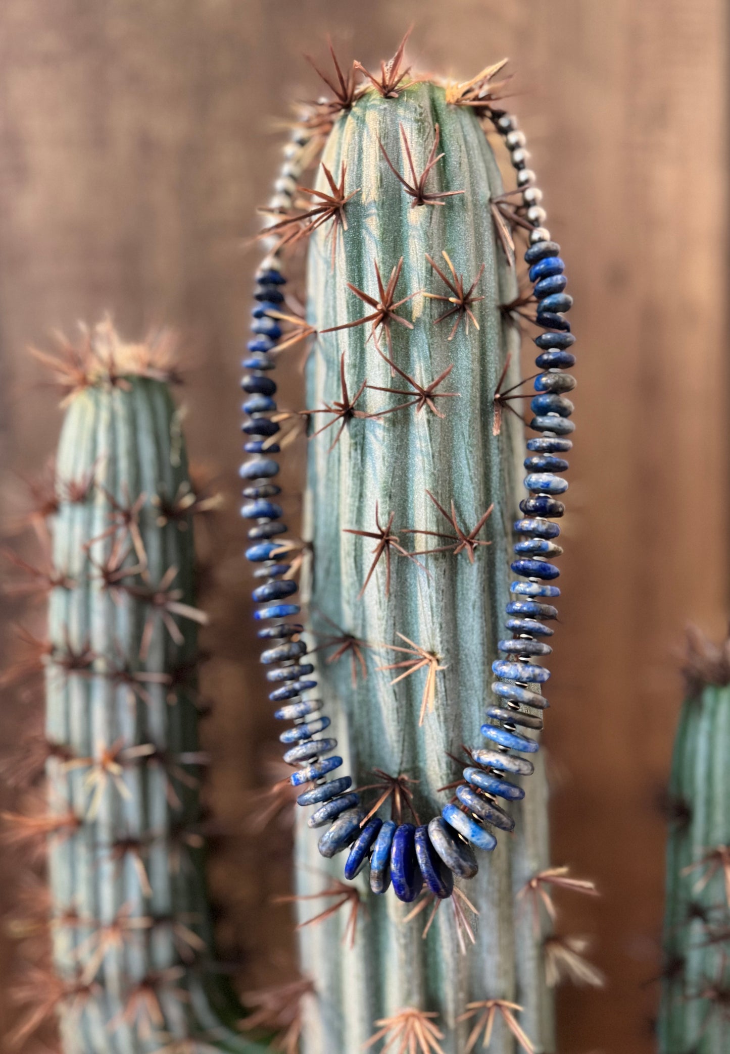 The Indigo Outlaw Strand