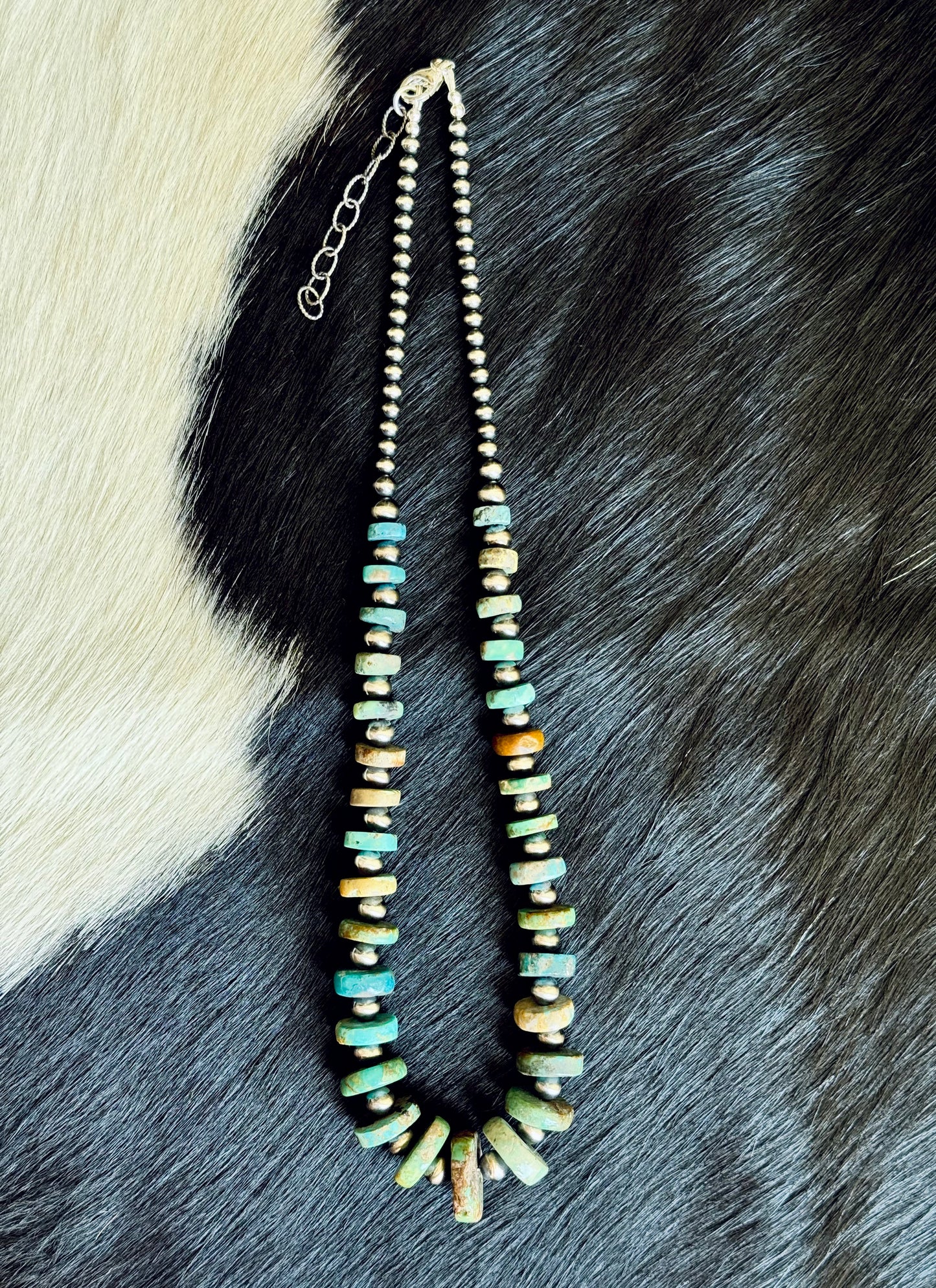The Dynasty Strand