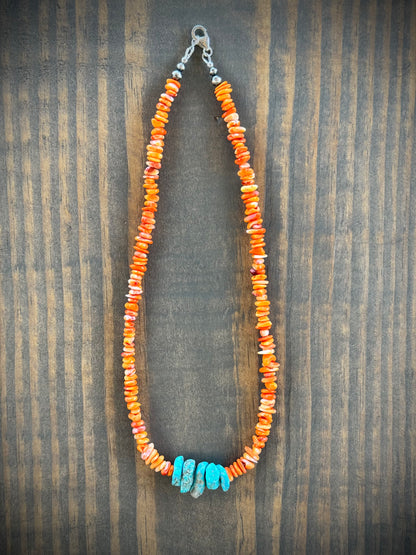 The Canyon Cut Strand