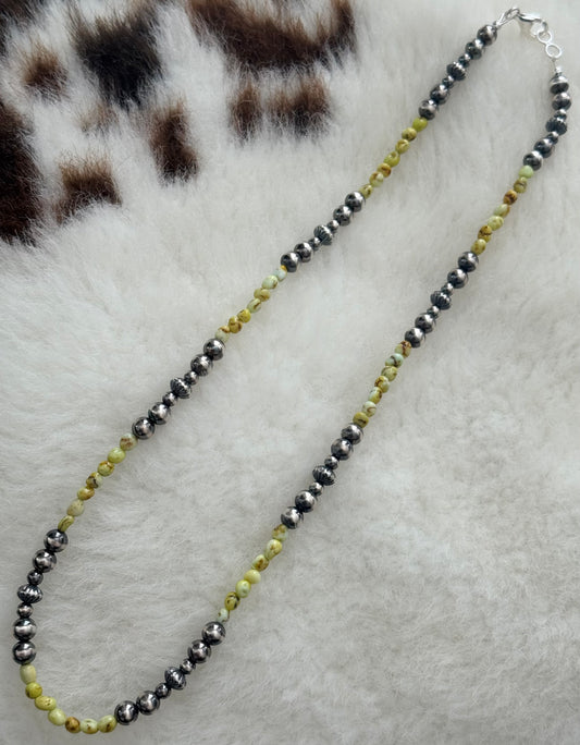 The Palomino Pinto Strand