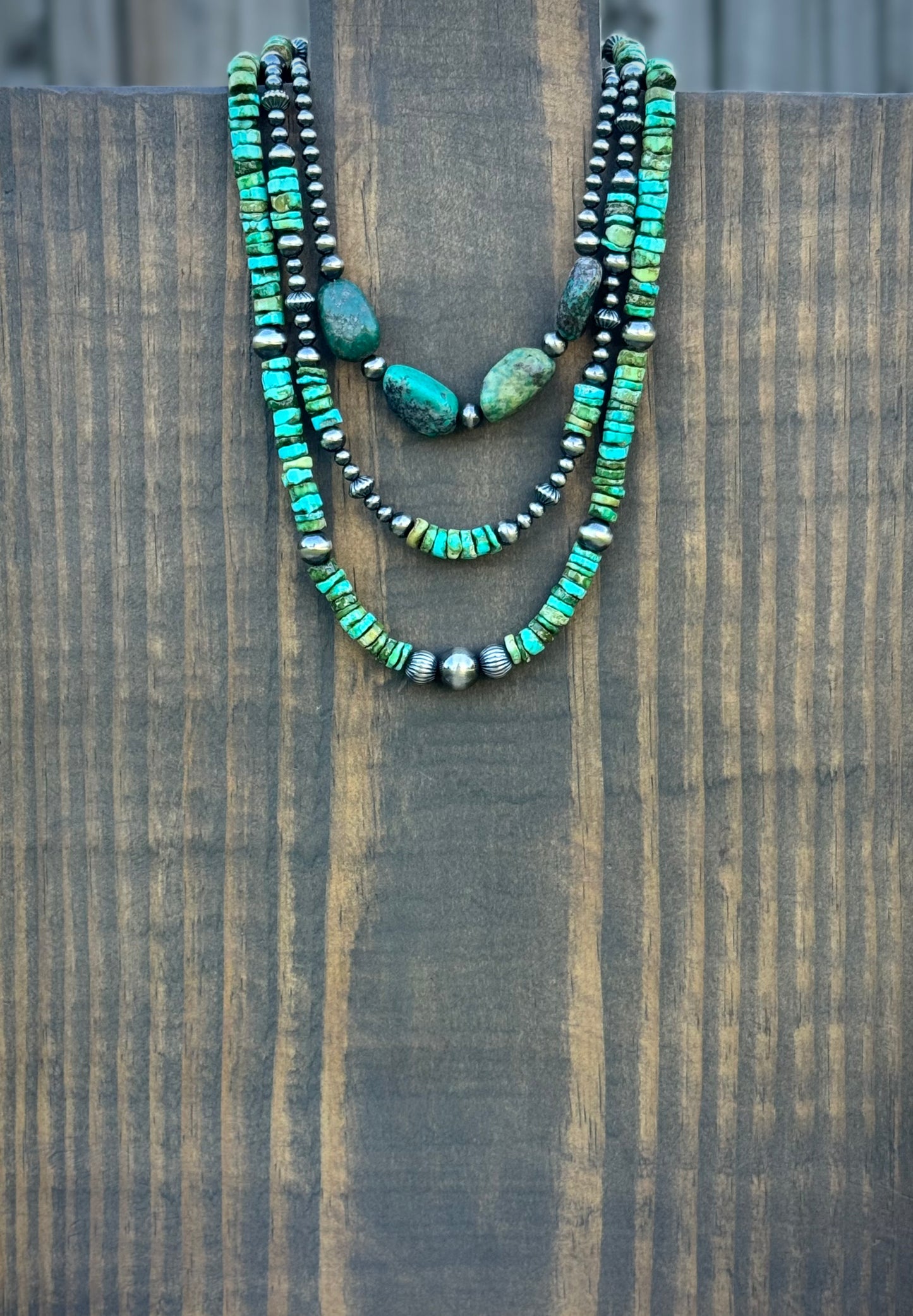 The Sonoran Sierra Strand