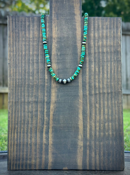 The Sonoran Sierra Strand