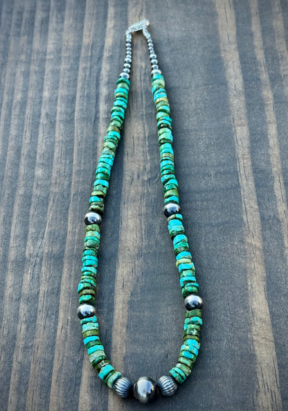 The Sonoran Sierra Strand