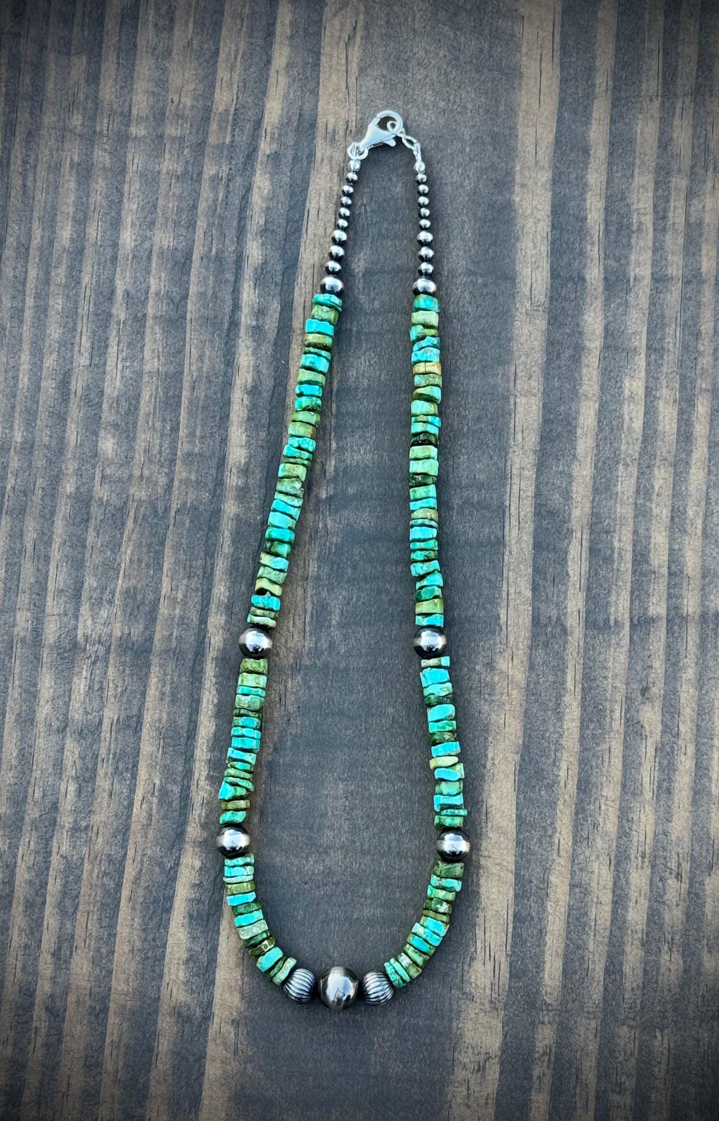 The Sonoran Sierra Strand