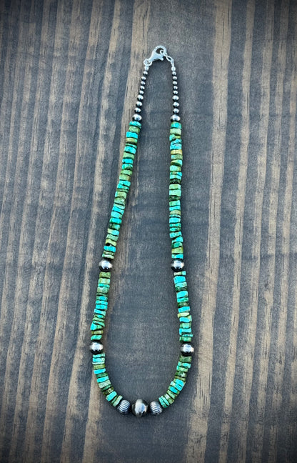 The Sonoran Sierra Strand
