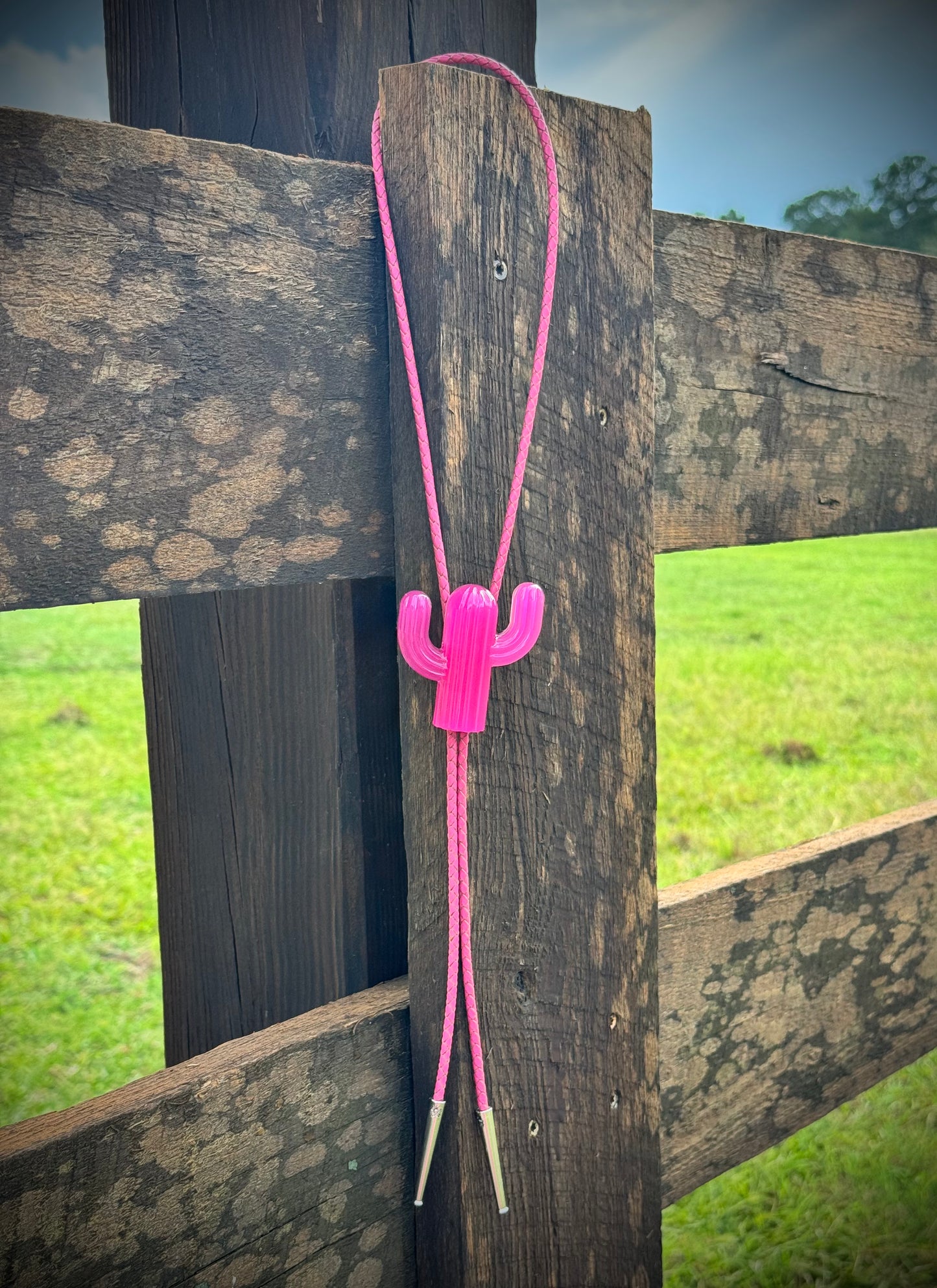 The Sugar Pop Bolo