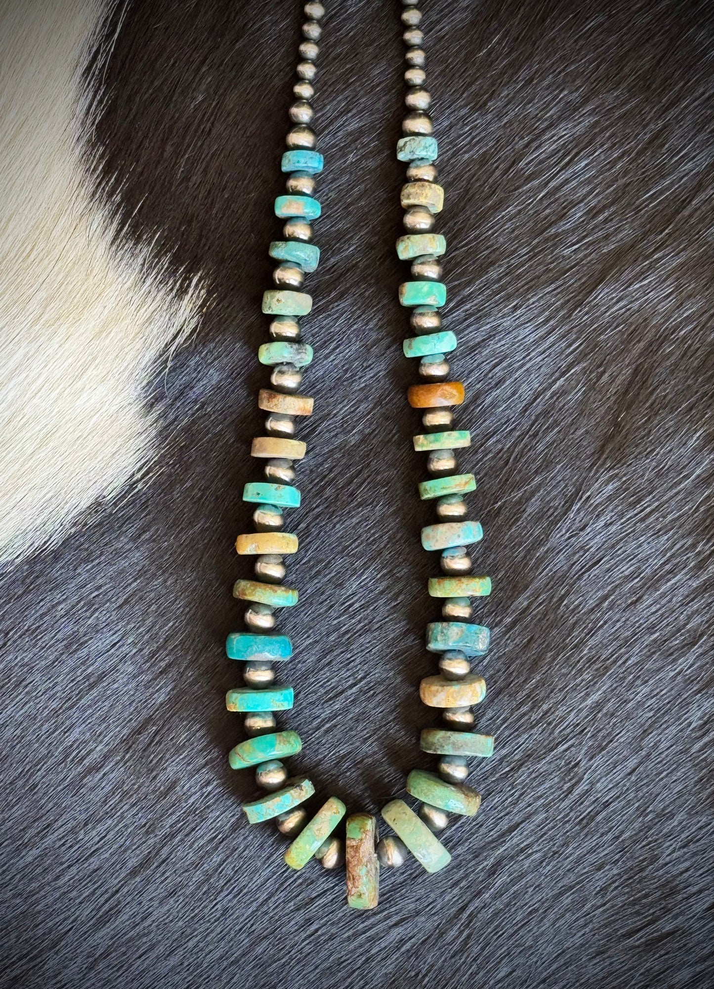 The Dynasty Strand
